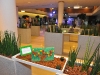 simina-filatstyle-nature-green-carpet-lifestyle-event